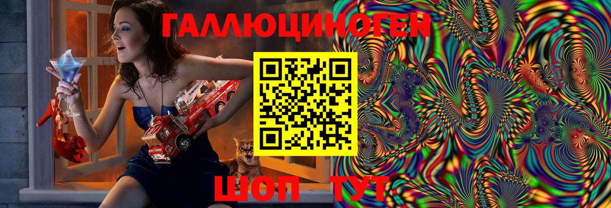 Шарыпово  Галлюциногенные грибы Psilocybine cubensis  Вход с VPN 